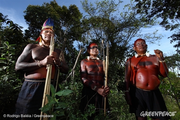 L’ONU s’inquiète de la régression des droits des peuples autochtones au Brésil