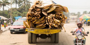 La RDC annule trois concessions forestières illégales