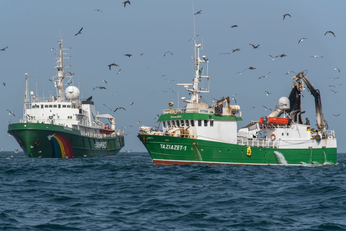 L’Esperanza contre la pêche pirate en Afrique de l’Ouest