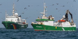 L’Esperanza contre la pêche pirate en Afrique de l’Ouest