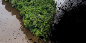 Mobilisation nationale pour le Récif de l’Amazone
