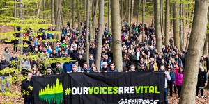 Forêts, liberté d’expression : des auteurs s’engagent avec Greenpeace