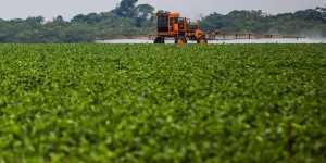 Glyphosate : Monsanto veut passer en force