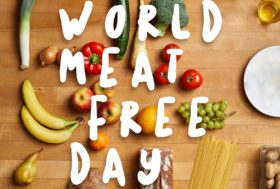 Journée sans viande : consommer moins et consommer mieux