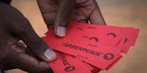 Greenpeace Film Festival : un été riche en découvertes