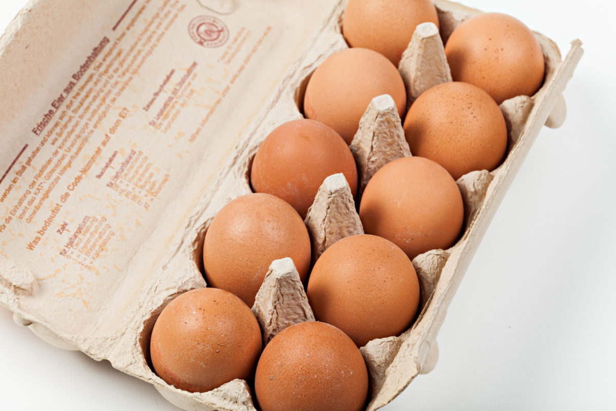 Élevage : un scandale de plus étouffé dans l’œuf ?