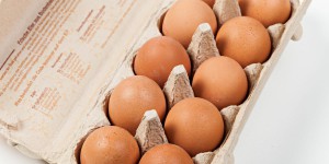 Élevage : un scandale de plus étouffé dans l’œuf ?