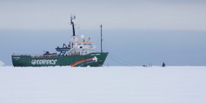 Stop aux forages pétroliers en Arctique !