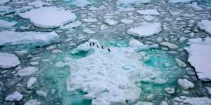 En 2018, Greenpeace mobilisée de l’Arctique à l’Antarctique