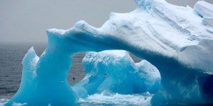 Expédition : cap sur l’océan Antarctique