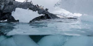 Océan Antarctique : journal de bord