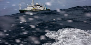Récif de l’Amazone : Neptune se fâche