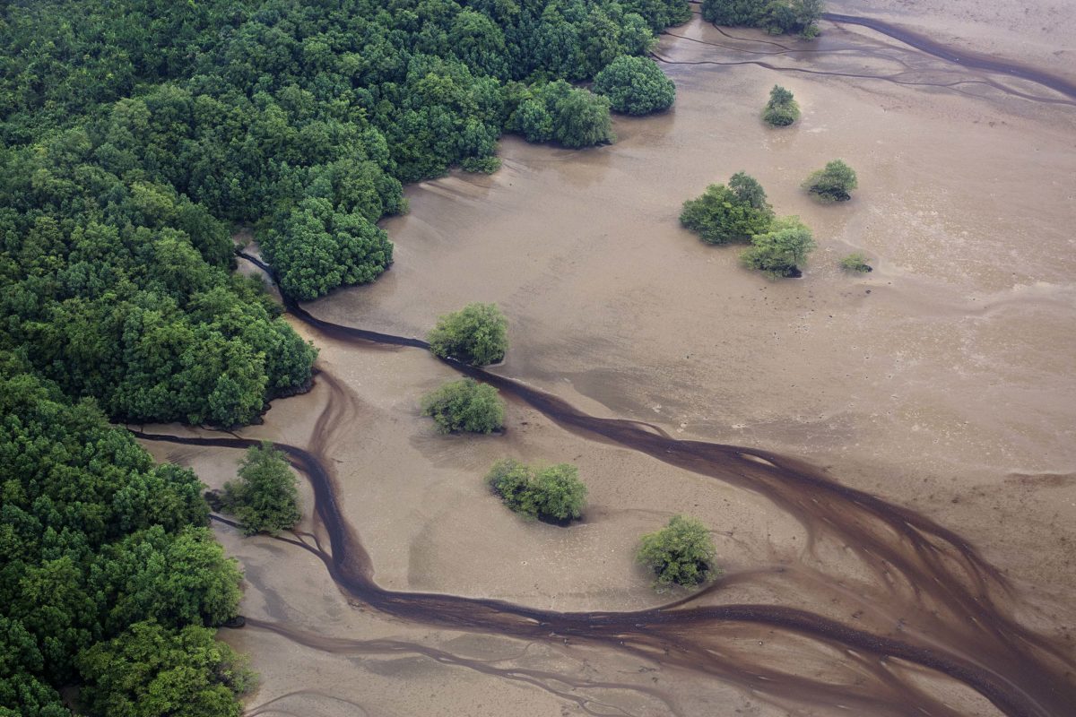 Récif de l’Amazone : Greenpeace mène l’enquête en Guyane