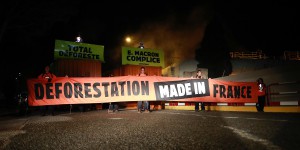 [DIRECT] Déforestation MEDE in France