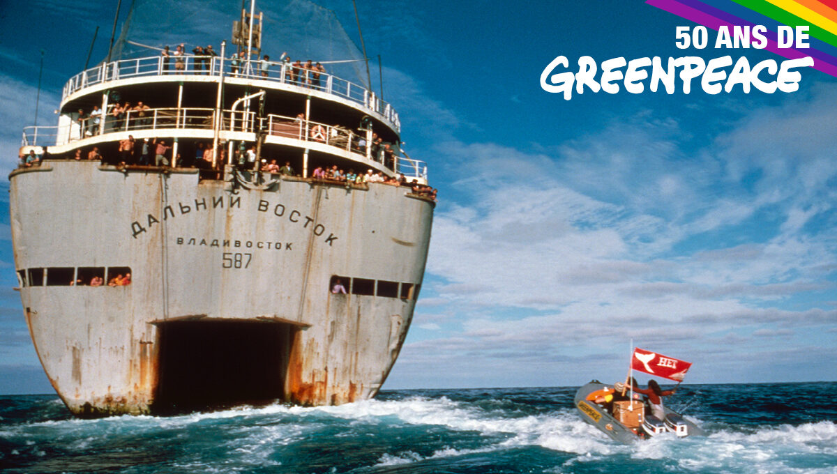 Fêtons les 50 ans de Greenpeace à Wonderland