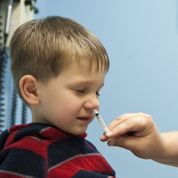 Coqueluche : un vaccin nasal en préparation