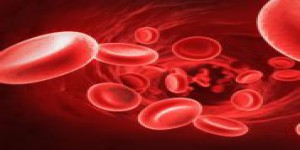 Les globules rouges comme vecteurs de médicaments