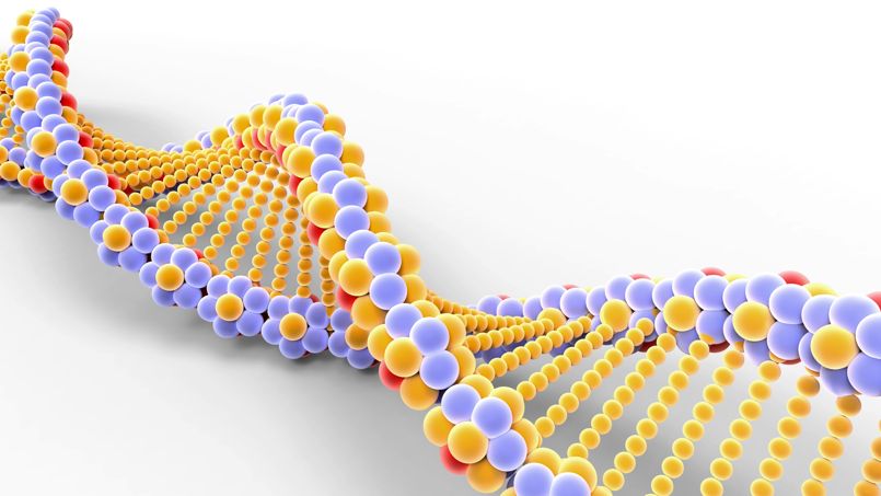 ADN, des scientifiques inventent un nouveau code génétique