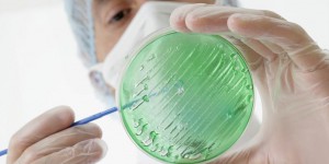 Des tests plus rapides contre les bactéries résistantes