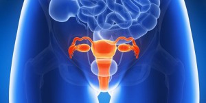 Cancer de l'utérus : 7000 femmes touchées chaque année