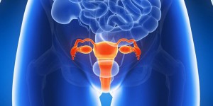 Cancer de l'utérus : fréquent mais diagnostiqué très tôt