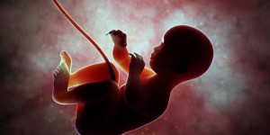 La chirurgie in utero progresse mais reste une exception
