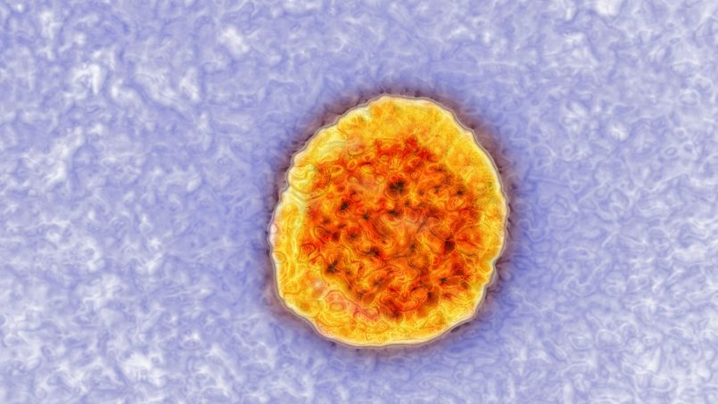 Un nouveau test de détection du virus de l'hépatite C