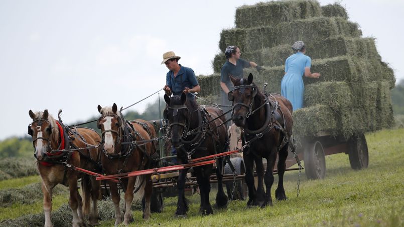 L'arme secrète des Amish contre l'asthme