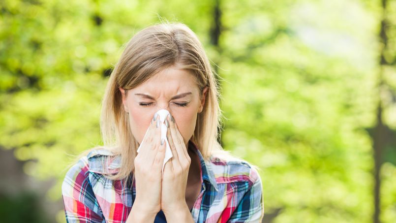 Pic d'allergies au pollen d'ambroisie