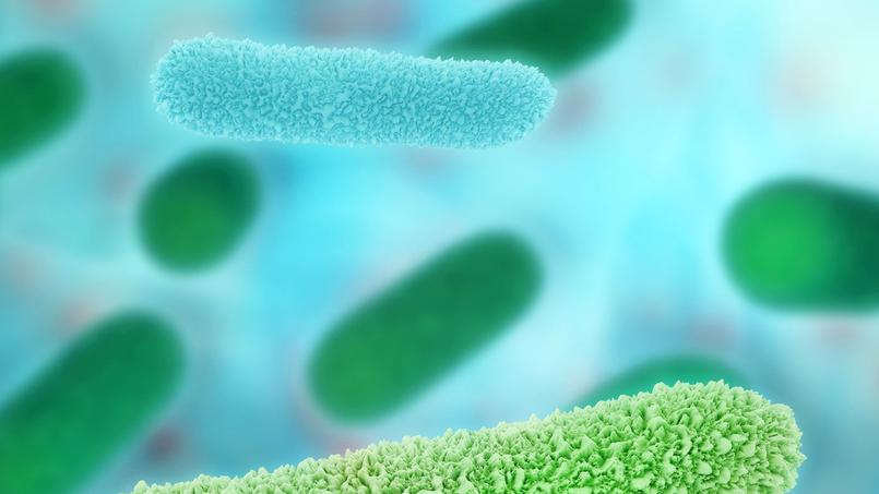 Comment améliorer notre santé grâce aux bactéries ?