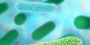Comment améliorer notre santé grâce aux bactéries ?