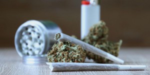 Effets du cannabis: les preuves scientifiques passées au crible