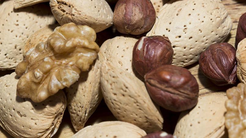Est-on forcément allergique aux noix quand on est allergique aux noisettes ?