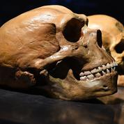 Génétique : Néandertal continue de parler en nous
