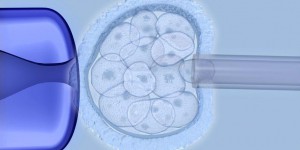 L’ADN d’un embryon humain a été corrigé