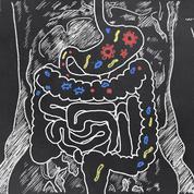 Fatigue chronique : et si nos bactéries intestinales y étaient pour quelque chose ?