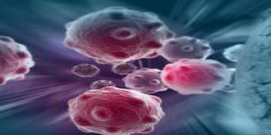 Le rôle complexe des cellules-souches cancéreuses