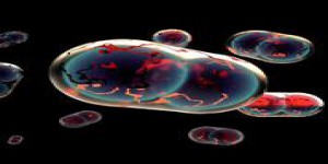 Un virus de la variole relance la crainte d’une guerre bactériologique 