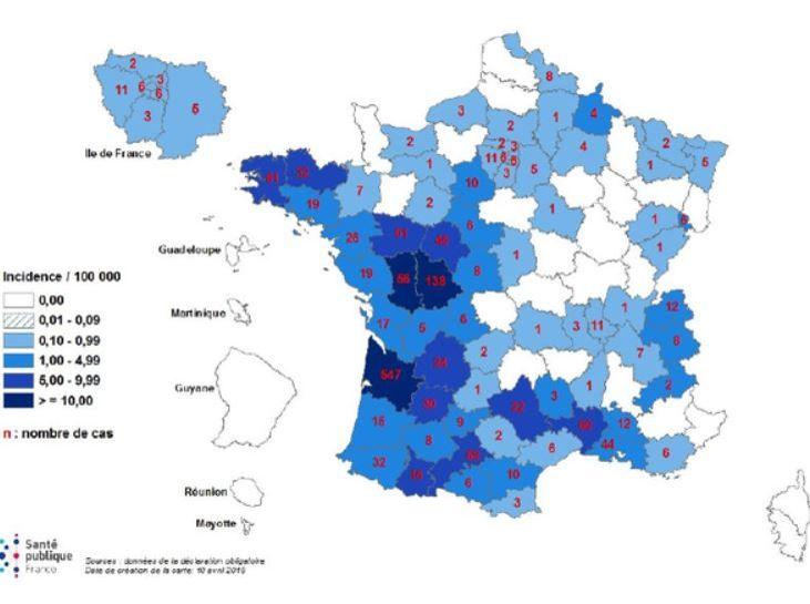 Déjà 1.500 cas de rougeole en France