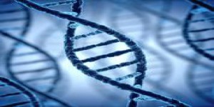 Tests génétiques : le business de l’ADN