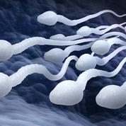 La dégradation de la qualité du sperme pourrait être liée à des causes environnementales