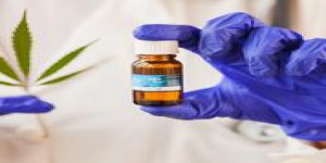 Cannabis médical: un comité d’experts juge son autorisation «pertinente»