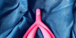Le clitoris, maître organe du plaisir sexuel féminin