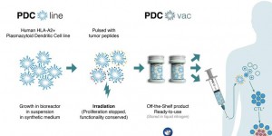 PDC*line Pharma: une nouvelle classe d’immunothérapie contre le cancer