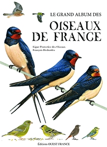 Livre : 'Le grand album des oiseaux de France'