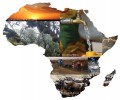 Le coût de l'adaptation au changement climatique en Afrique : 350 milliards de dollars par an...