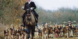 Pour l'abolition de la chasse à courre en France ? [vidéo]