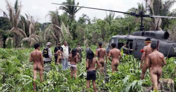 La tribu la plus menacée sur Terre a enfin été sauvée des exploitants illégaux en Amazonie [vidéo]
