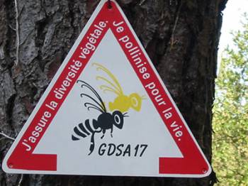 2014 : une année noire pour les abeilles et l'apiculture française