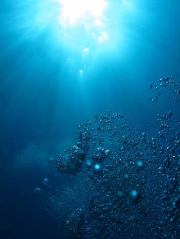 Les concentrations en mercure dans les océans ont été multipliées par trois depuis la révolution industrielle